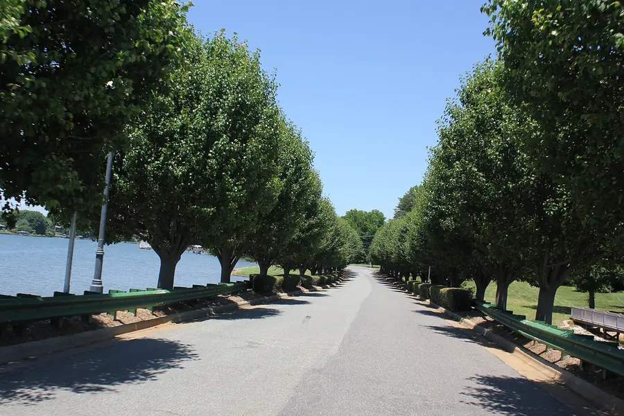 A tree-lined road running beside Lake Norman toward Governors Island in Denver, North Carolina, on a clear summer day